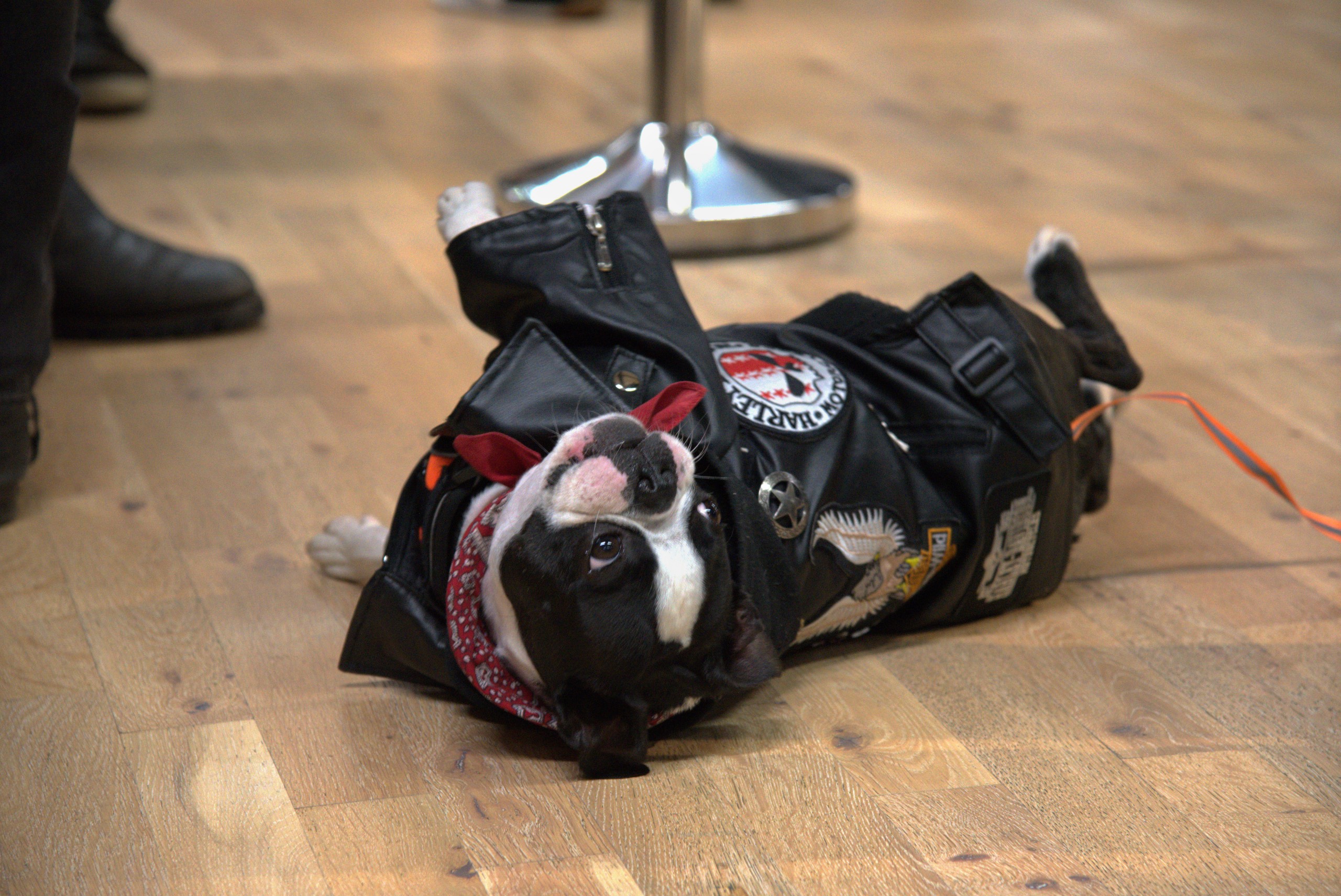 20251004 CORE 2025 – 291