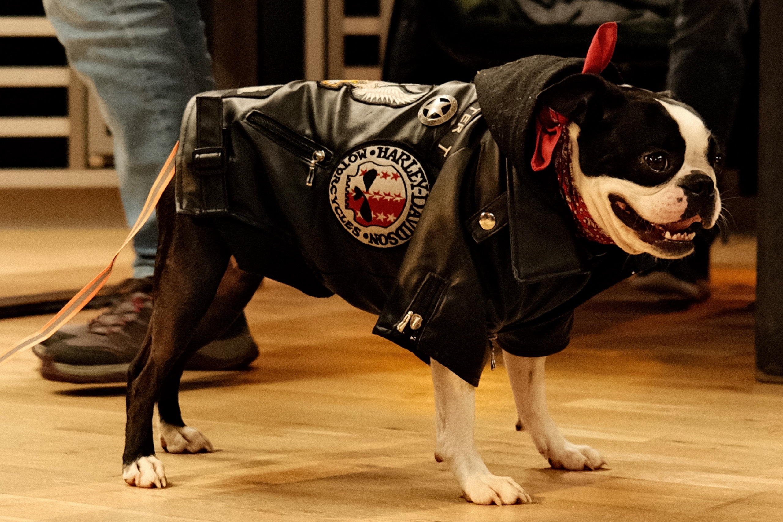 20251004 CORE 2025 – 336