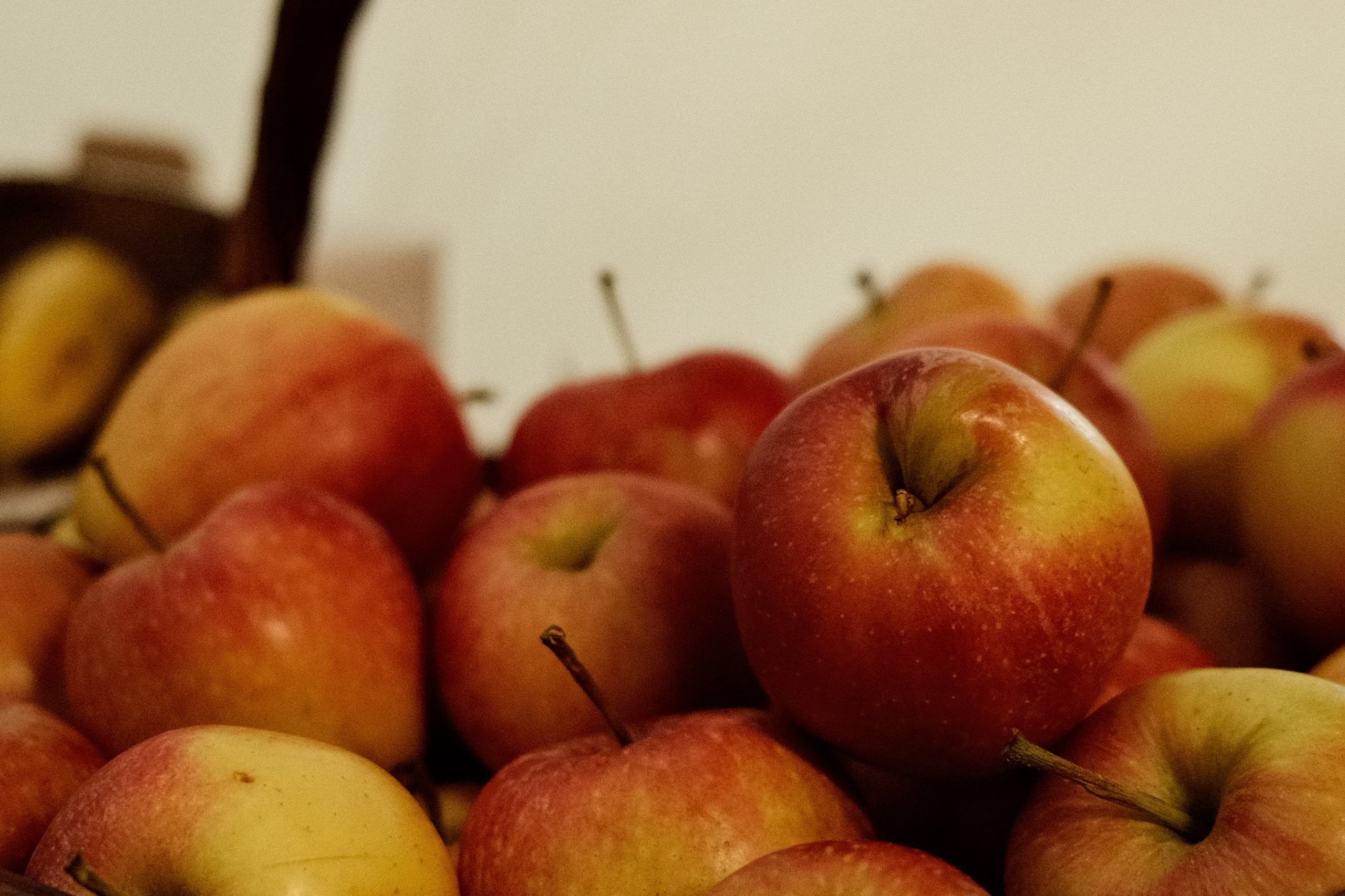 20251004 CORE 2025 – 349